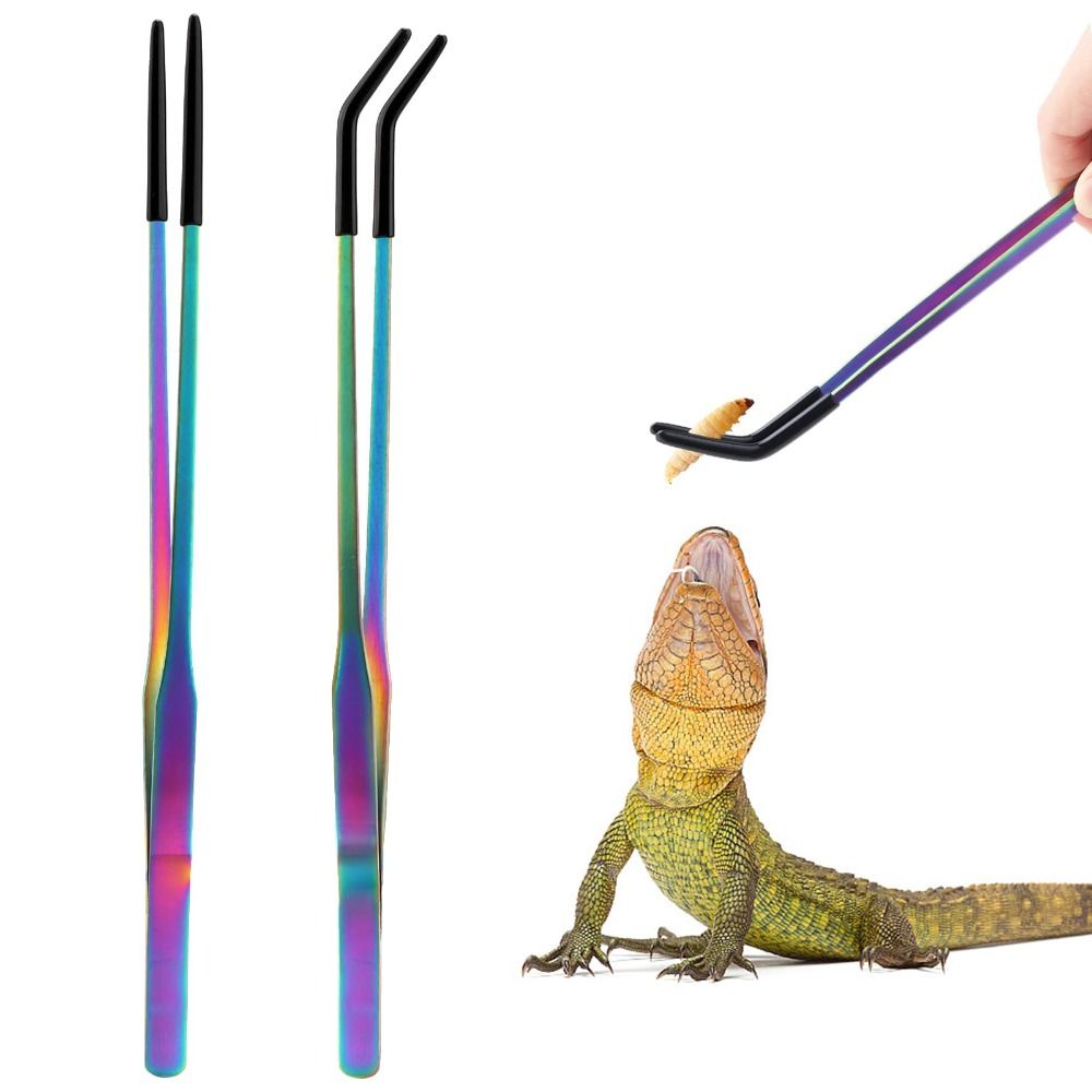 2PCS Stainless Steel Reptile F - Feeding Tong Stainless ulasan dan harga
