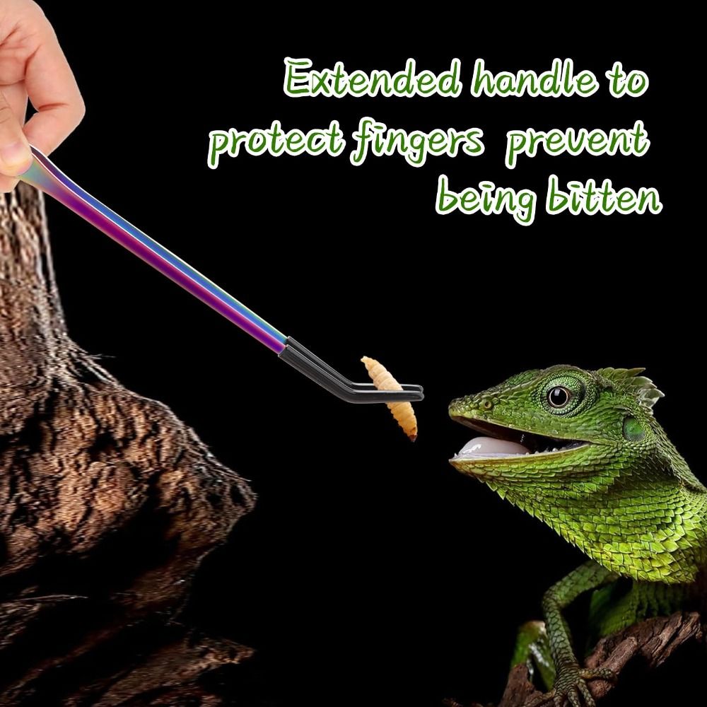 2PCS Stainless Steel Reptile F - Feeding Tong Stainless ulasan dan harga