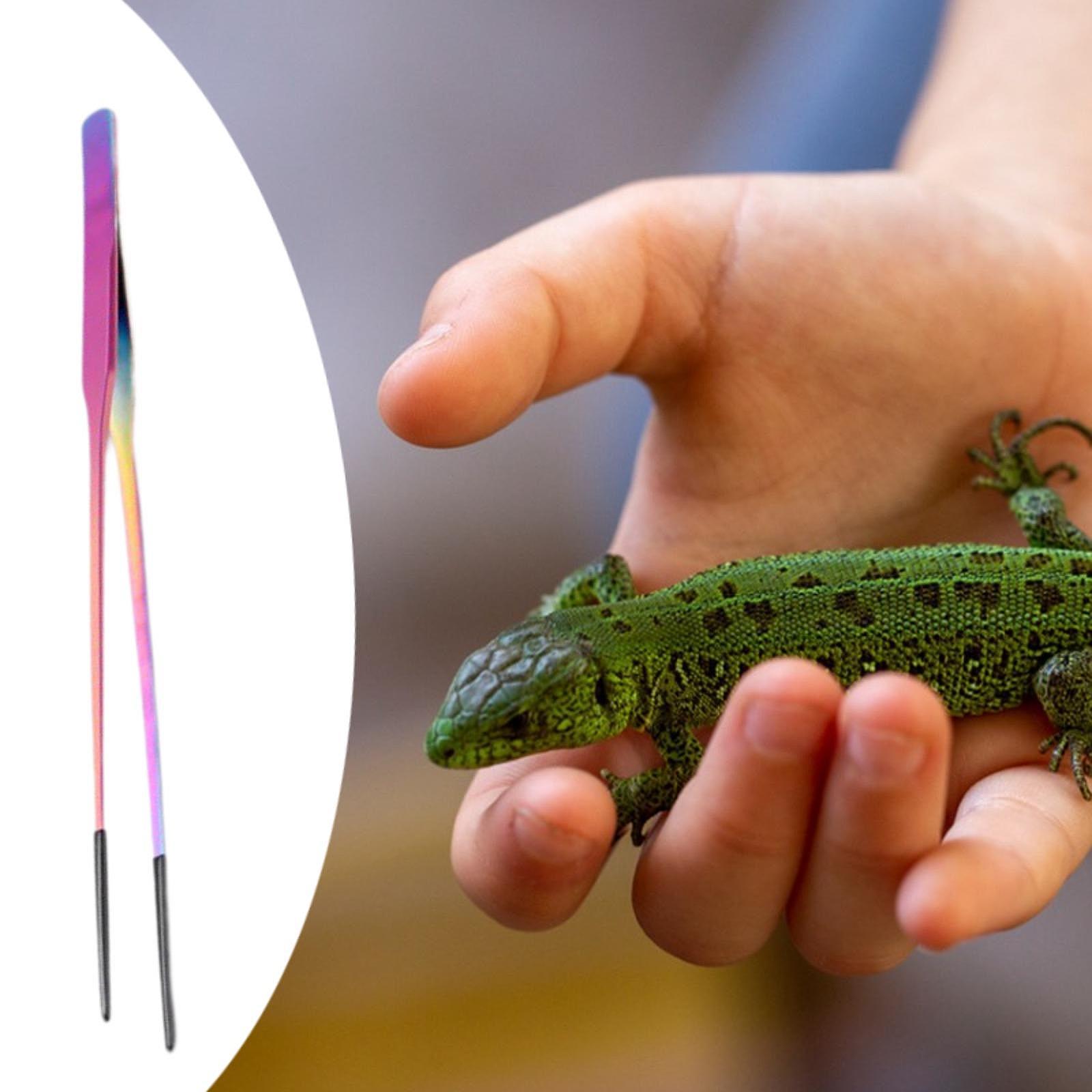 Aquarium Tweezers Reptile Feed - Feeding Tong Stainless ulasan dan harga