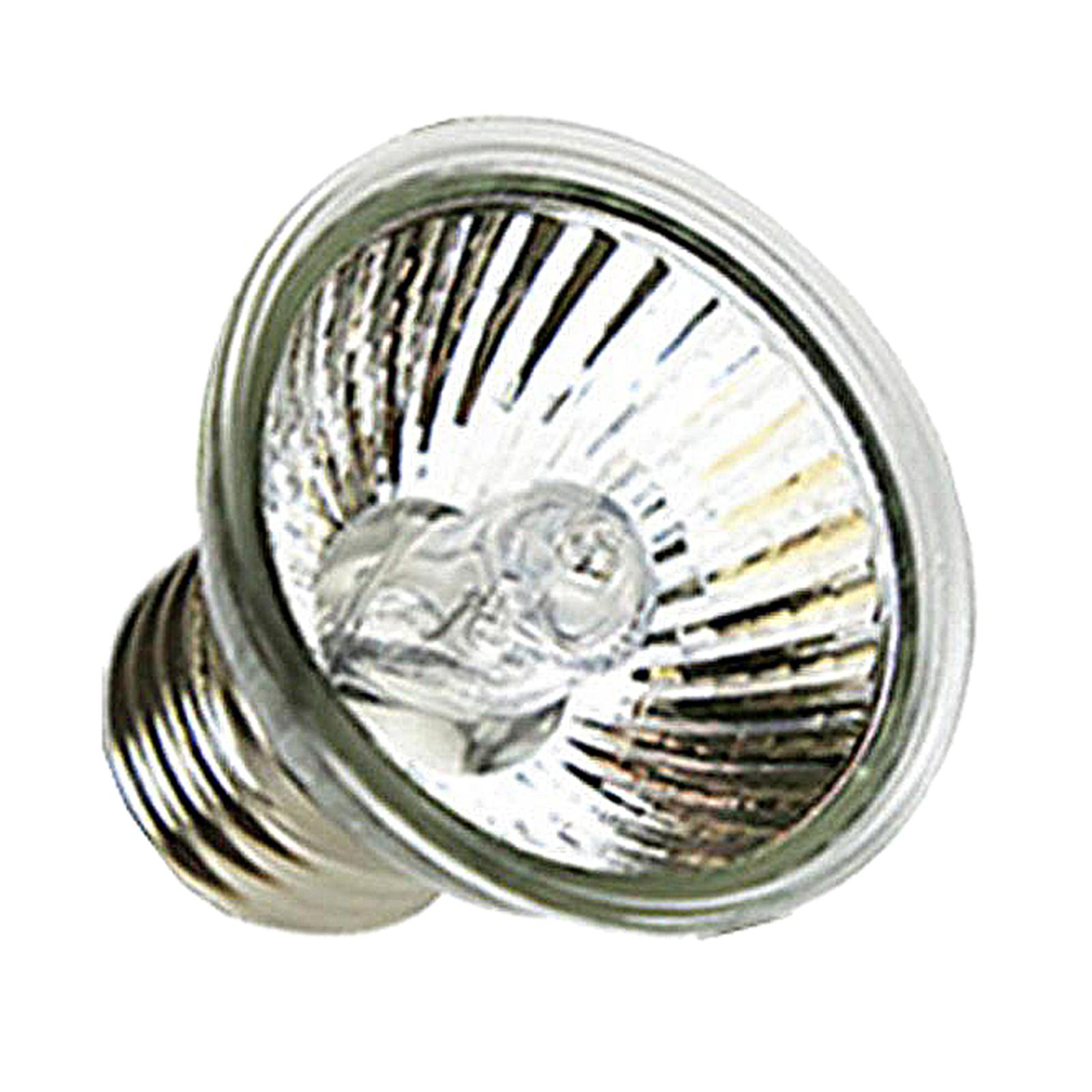 UVA UVB Reptile Heat Lamp Halo - Basking Bulb Halogen ulasan dan harga