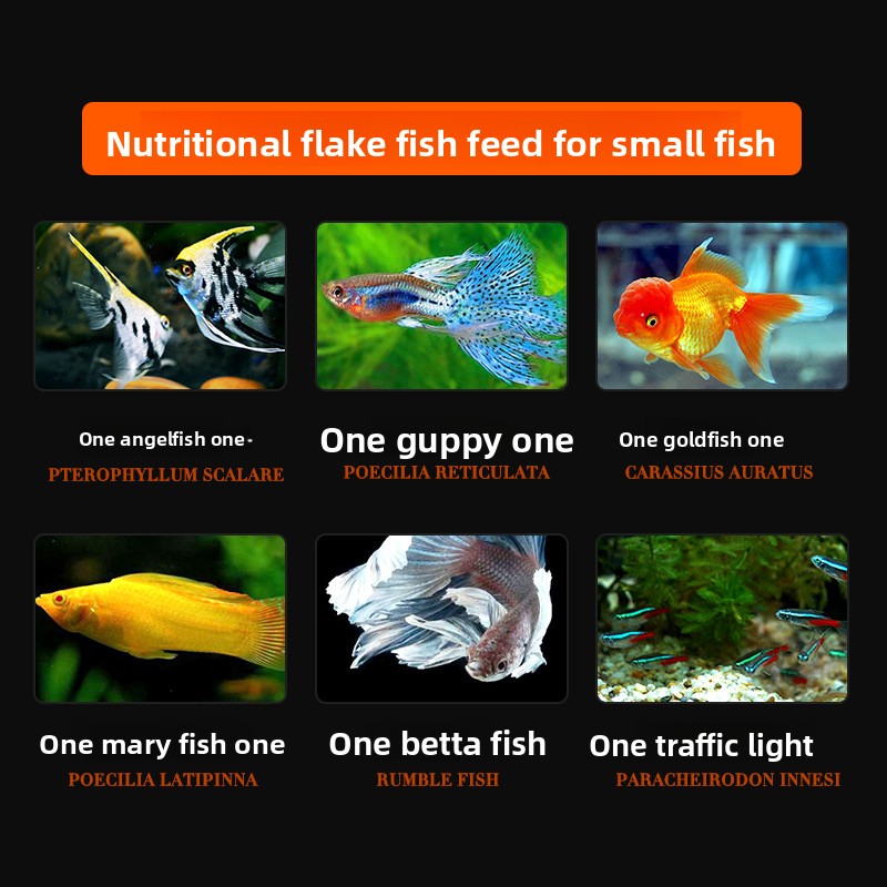 DaJiaWa Spirulina Flake Fish F - Tetra Food Goldfish Flakes ulasan dan harga