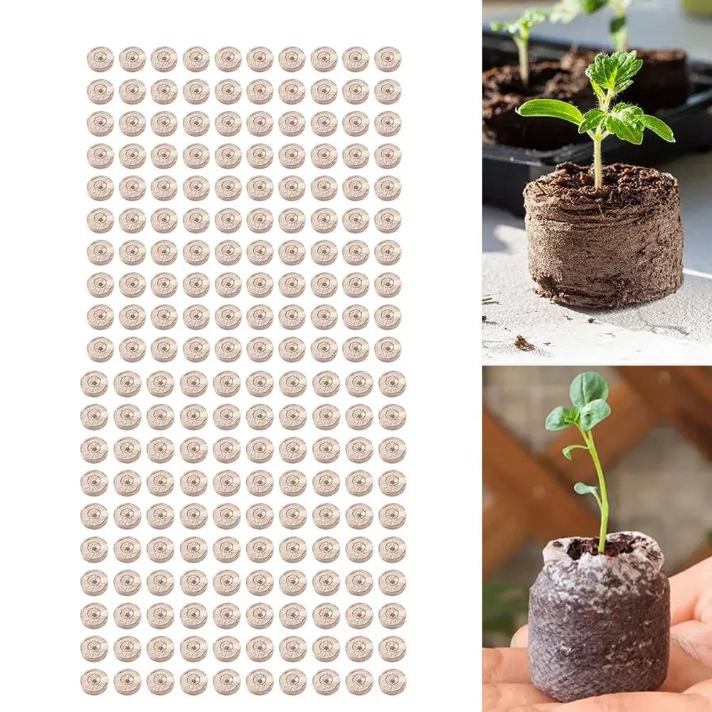 100pcs Compressed Coco Coir Pe - Substrate Coconut Fiber ulasan dan harga